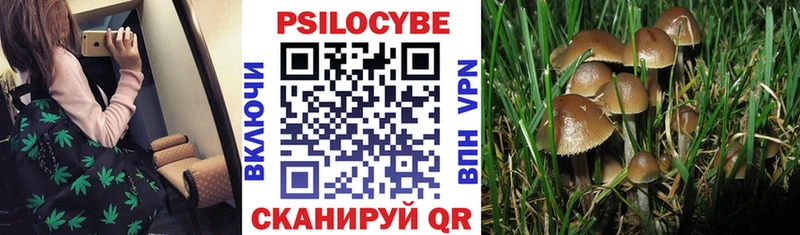 наркотики  Мирный  Псилоцибиновые грибы MAGIC MUSHROOMS 